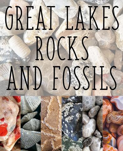 Great Lakes Locals Pinterest Rocks and Fossils